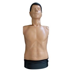 Mannequin de formation AmbuMan B Torse