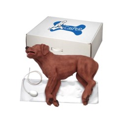 Mannequin chien de...