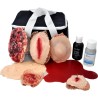 Mallette de formation - Lot de plaies Filets