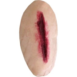 Plaie Filet Hémorragique