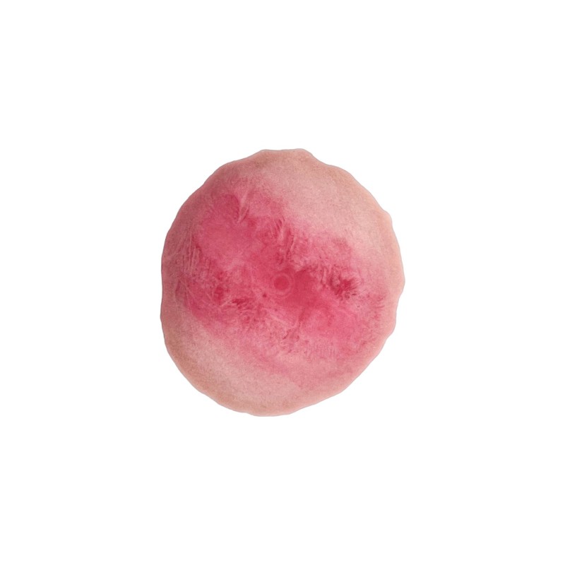 Plaie Filet Brûlure thermique Simple