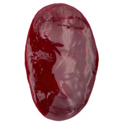 Flaque de sang, grand modèle